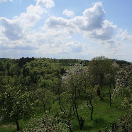 Fewo im Naturpark Spiegelberg Zewnętrze zdjęcie
